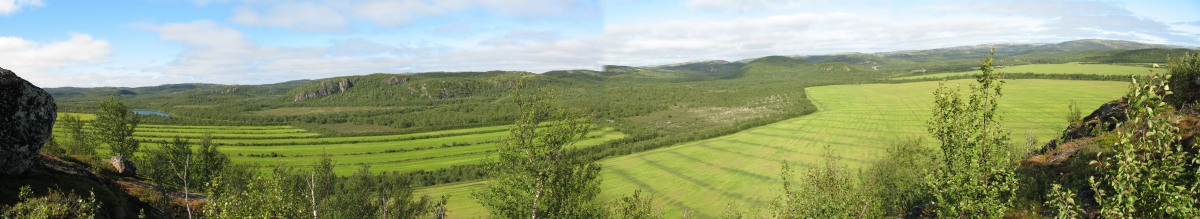 Panorama bojit na ece Lica